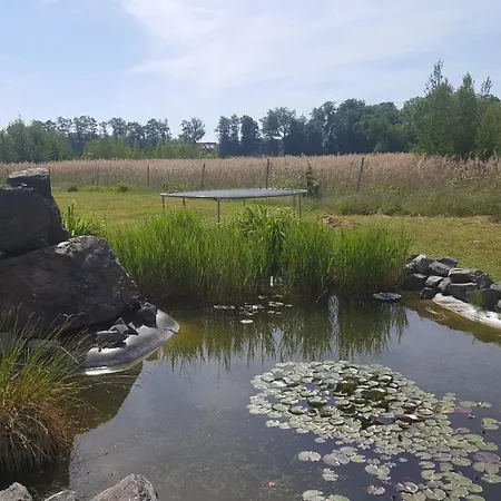 Ferienhaus Am Teich Rottleberode Buitenkant foto