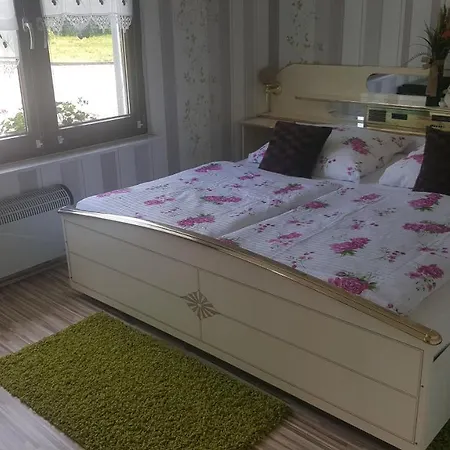 Ferienhaus Am Teich Rottleberode Buitenkant foto